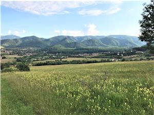 Teren de vanzare in Sibiu - Tocile - intravilan - 1798 mp