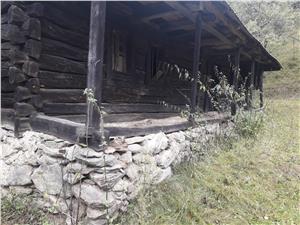 Cabana de vanzare in Sibiu-zona Boita-Valea Capraretului