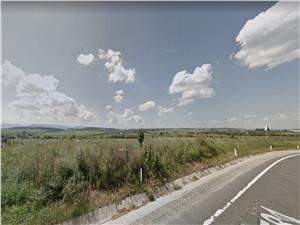Land for sale in Sibiu - Sura Mica - West Industrial Zone