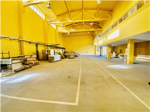 Industrial spaces and offices for rent in Sibiu - Terezian Area