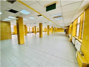 Spatii industriale si birouri de inchiriat in Sibiu - Zona Terezian